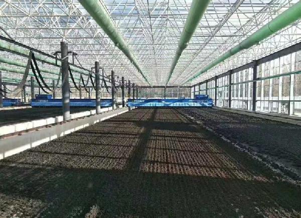 太陽能污泥干化設備