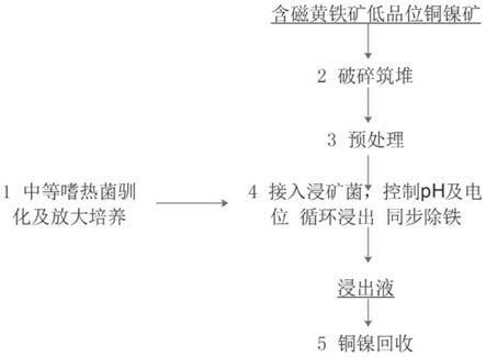 含磁黃鐵礦低品位銅鎳礦微生物浸出與除鐵聯合堆浸方法與流程