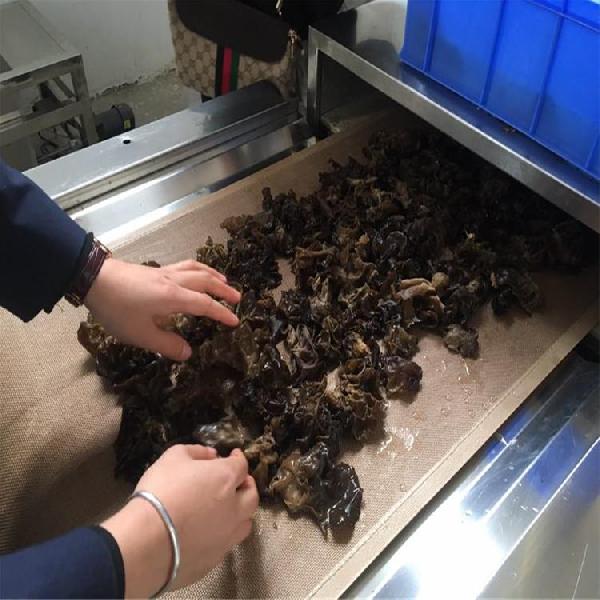 木耳微波殺蟲卵設備菌菇微波殺菌機