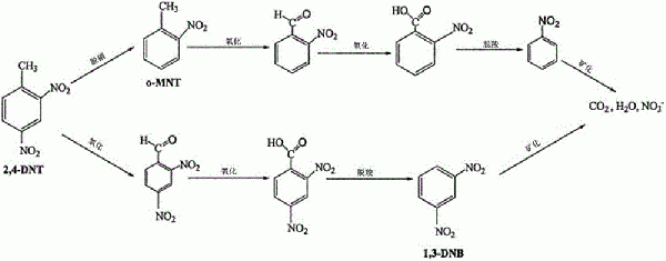 基于空化技術處理有機工業廢水的裝置的制作方法