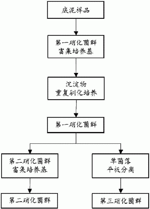 地表水環境氨氮去除方法與流程