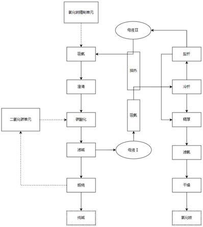 廢鹽資源化處理系統及其處理方法