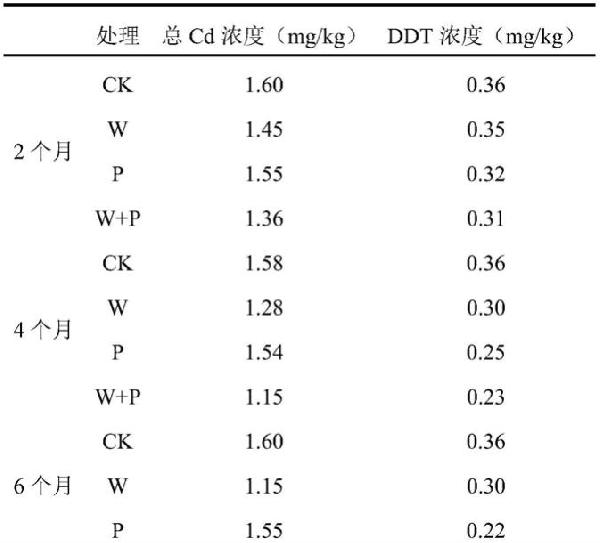植物微生物聯合修復重金屬與有機物復合污染土壤的方法與流程