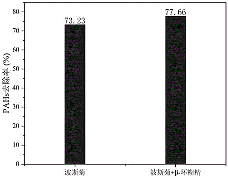 環糊精強化植物修復有機物污染土壤的方法與流程