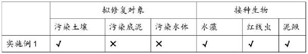 利用水生生物修復復合污染土壤、水體或底泥的方法與流程