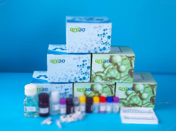 人羰基化蛋白（PC）ELISA 試劑盒（免費代測）96T/48T 進口/國產