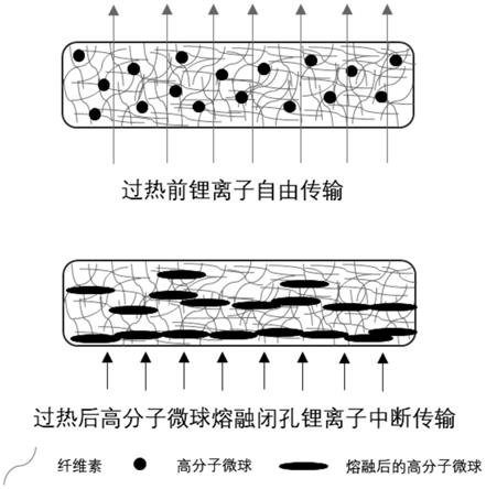 鋰離子電池用隔膜及其制備方法和應用與流程