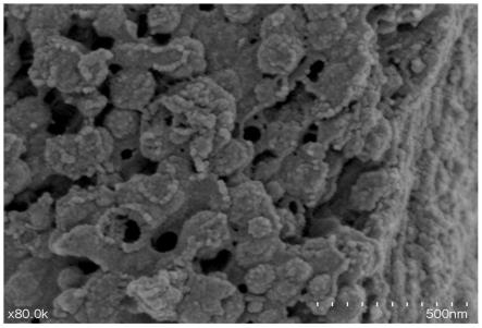 生物炭負載鐵基納米改性材料及其制備方法和應用與流程