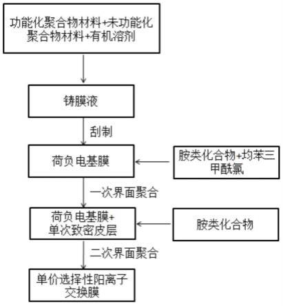 單價選擇性陽離子交換膜及其制備方法與應用