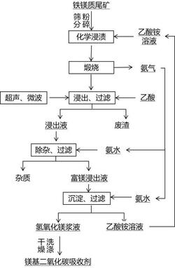 由鐵鎂質尾礦制備的鎂基二氧化碳吸收劑及制備方法