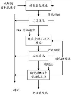 吡蚜酮有機氮廢水的處理方法及裝置