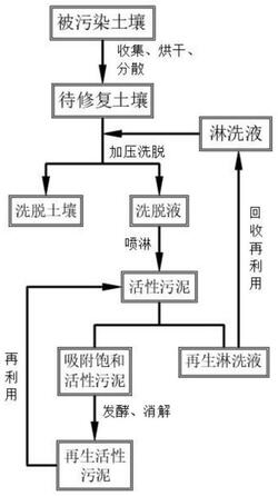 利用活性污泥修復多環芳烴污染土壤的方法