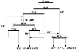 伴生硫化礦的磁鐵礦高效預選工藝