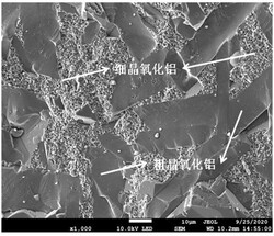 具有粗晶-細晶復合顯微結構特征的氧化鋁陶瓷及其應用