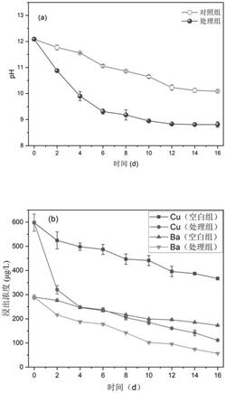 快速碳固定和穩定化的焚燒爐渣預處理方法