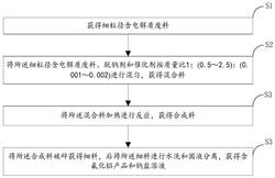 含電解質廢料的處理方法