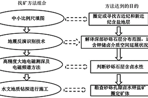 盆地區深層鹵水鉀鹽或鋰鹽礦勘探方法