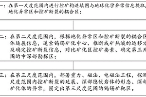 基于多深度尺度的花崗巖區鎢錫礦勘探方法