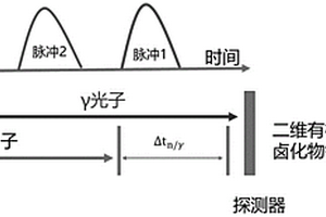 可同時探測γ射線和快中子的二維有機無機雜化鈣鈦礦閃爍體及其制備