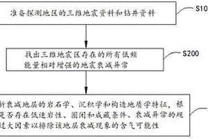 非氣藏地震波衰減異常的地質成因排除方法