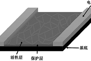 具有網狀鈣鈦礦納米線的光電探測器及其制備方法