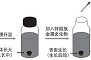 無甲胺錫基鈣鈦礦單晶的制備方法和光電探測器
