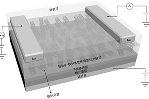 基于鈣鈦礦-碳納米管體異質結的寬譜光電探測器
