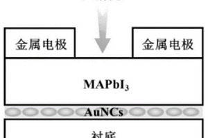 基于等離激元效應的鈣鈦礦弱光探測器