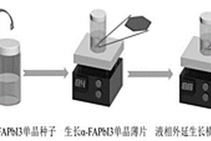 自驅動鈣鈦礦橫向單晶異質結光電探測器及制備方法