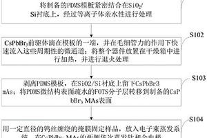 微米線陣列高性能鈣鈦礦型光電探測器、制備方法及應用