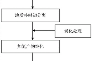 地質卟啉加氫衍生化方法、所得加氫產物及同位素分析法