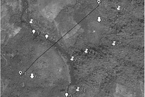 基于衛星地圖的由遠及近的工程地質調查測繪方法