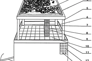 用于地質專業可展示古代沉積儲層特點的教學設備