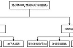 二氧化碳地質封存體中泄漏風險的評價方法