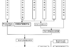頁巖氣單井地質綜合評價方法