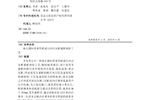 海上潮間帶單管樁液壓沖擊沉樁溜樁預防工藝