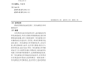 堵油層裂縫改造油層進行二氧化碳復合多項驅的技術