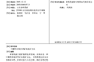 中酸性巖漿巖型礦床找礦方法