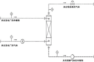 用于從富含H2S和CO2的氣體混合物諸如地熱不凝性氣體混合物中減少H2S和CO2的方法和系統