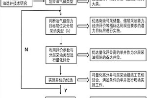 新型分層采油選井的技術方法