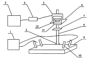 荧光光学成像装置