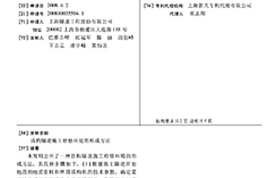 盾構隧道施工檢修環境的形成方法