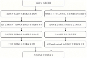 基于反射率和粗糙度的焦瀝青光學結構定量表征方法