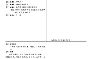 用于油水井的堵水、堵漏、二次固井技術