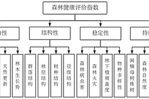 閩楠天然次生林健康評價模型及健康評價方法