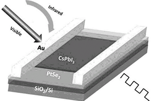 PtSe<Sub>2</Sub>/CsPbI<Sub>3</Sub>異質結光電探測器及其制備方法和應用