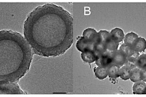 C<Sub>3</Sub>N<Sub>4</Sub>納米球負載全無機鈣鈦礦CsPbBr<Sub>3</Sub>的制備方法及其電致化學發光細胞傳感
