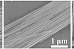 Sn摻雜CsPbI<sub>3</sub>納米帶在光電探測中的應用