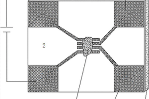 基于Cs<sub>2</sub>AgBiBr<sub>6</sub>薄膜的光電導型探測器及制備方法