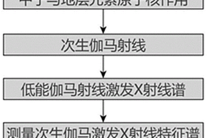 基于脈沖中子源的金屬礦產測井設備與方法